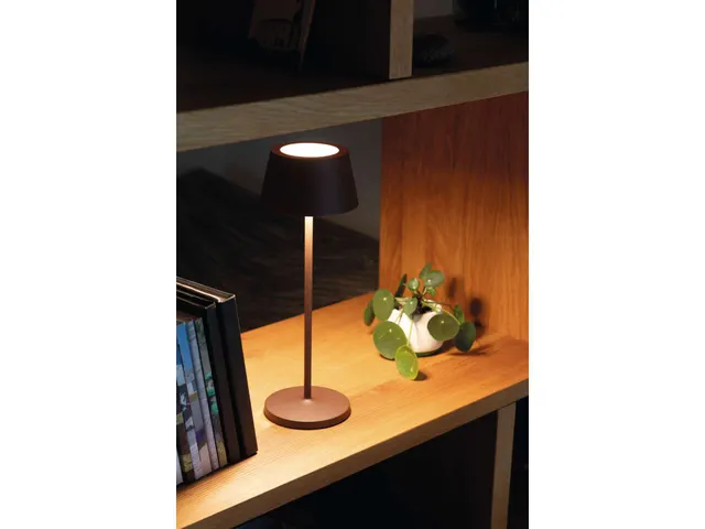 Lampe de table LED à pile MAULnina réglable marron