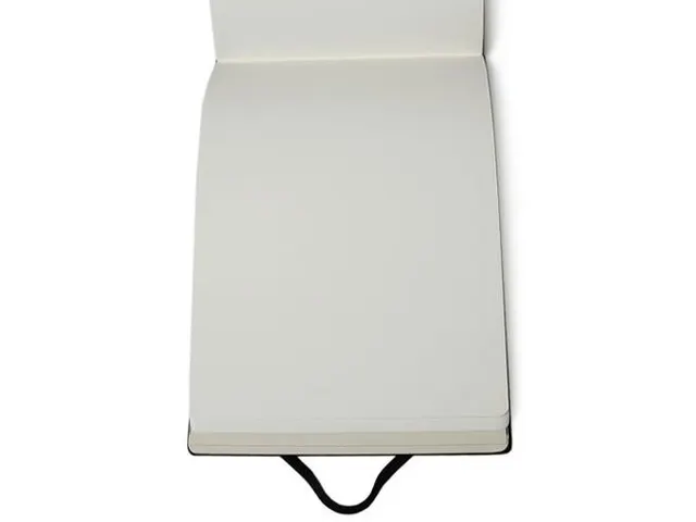 Schetsboek Moleskine A4