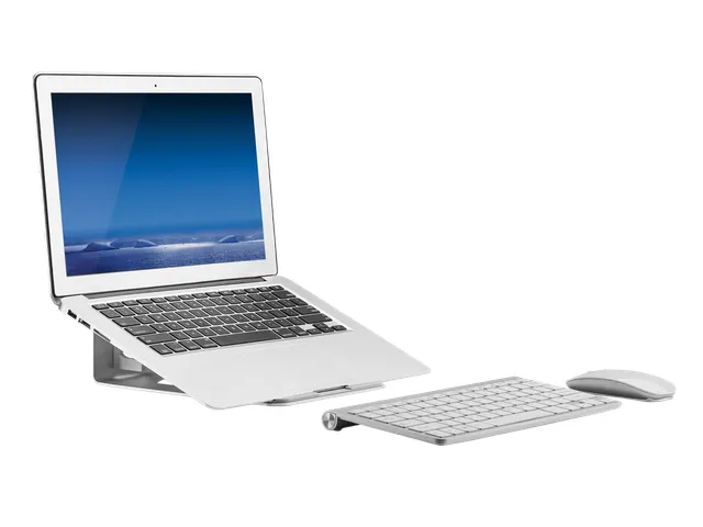 DESQ Aluminum Desktop Notebook Stand