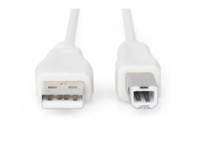 USB-aansluitkabel type A-B mannelijk/mannelijk 3m USB 2.0 compatibel