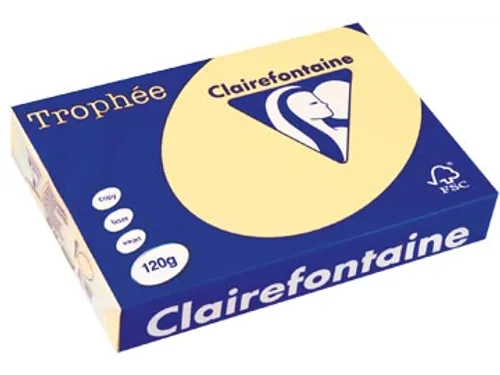 Trophée Pastel gekleurd papier A4 120 gram 250vel Kanariegeel