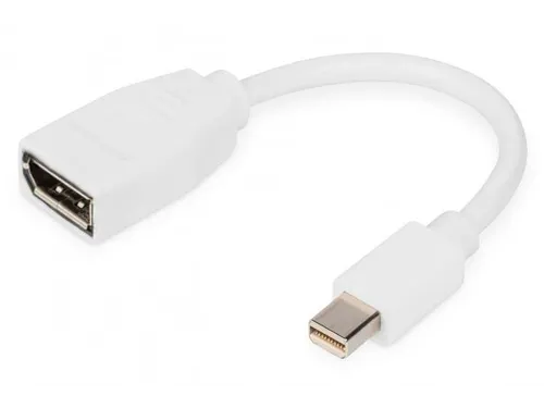 DisplayPort-adapterkabel type mini DP DP Male/Female 0,15m UHD 4K Wit