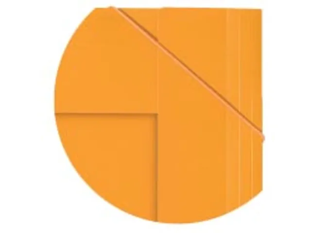 INTERNATIONAL Organiserbook, 160 bladzijden, ft A4+, geruit 5mm