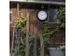 Buitenklok Nextime dia 25,5cm Daisy met thermo- en hydrometer cijfers,