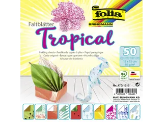 Vouwblaadjes Folia 80gr 15x15cm 50 vel 2-zijdig 10 tropical designs - 1