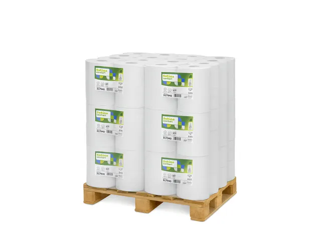Handdoekrol Satino Comfort PT1 2-laags 150m wit 317940 Pallet