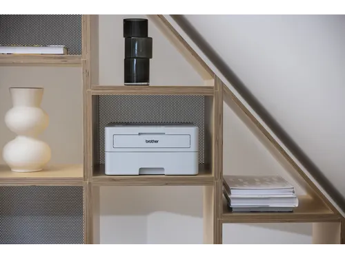 Printer Laser Brother HL-L2865DW