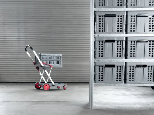 vouwbare winkelwagen,draagverm. 60kg,2etage(s),HxLxB 1025x890x550mm