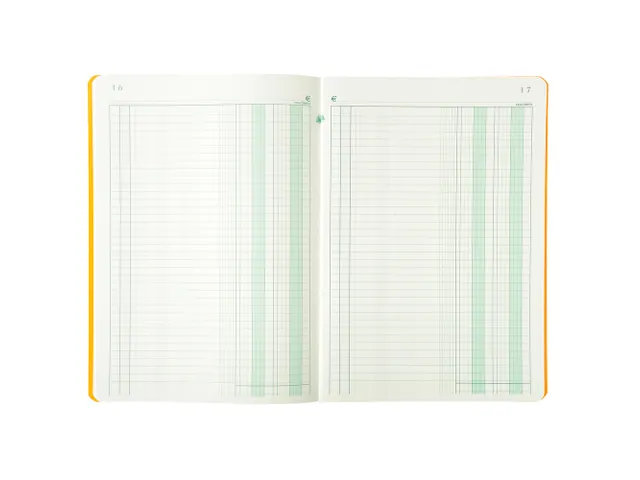 Piqure 29,7x21 Journaal 80 bl
