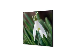 Wanddecoratie Textiel Set 40x40cm Witte Bloem Sneeuwklokje - 1