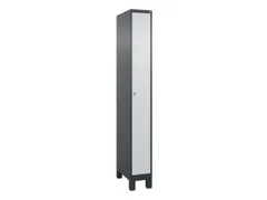 locker,HxBxD 1950x250x500mm,1vak,vak B 250mm,cil.-slot,voeten