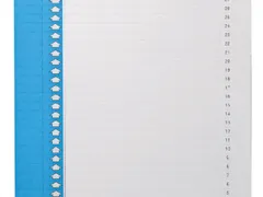 Ruiterstrook Elba Nr 0 297x6mm verticaal blauw 10 vel