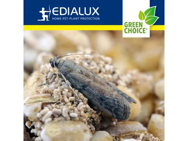 Green Choice - Voedselmottenval, 2 Stuks