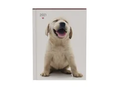Agenda 2021 my favourite friends dogs