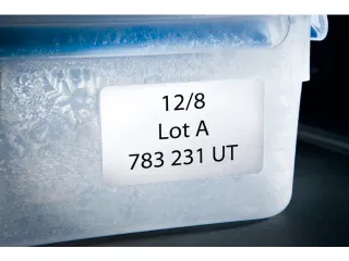 diepvriesetiket Avery 63,5x33,9mm - 3