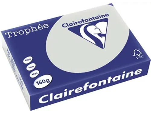 Trophée Pastel gekleurd papier A4 160 gram 250vel Lichtgrijs