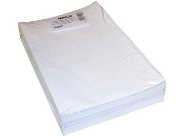 Ministerpapier Geruit 5 mm Folio | Bedrijfsformulier.nl