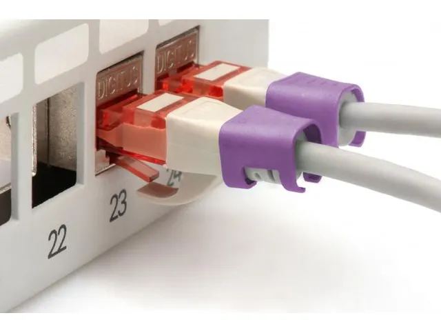 Kleurclips Voor Patchkabels RJ45-stekkers Paars 100 Stuks