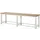 Zwaarlastwerkbank H X B X D 850x 3000x 700mm Beukenhouten Werkblad