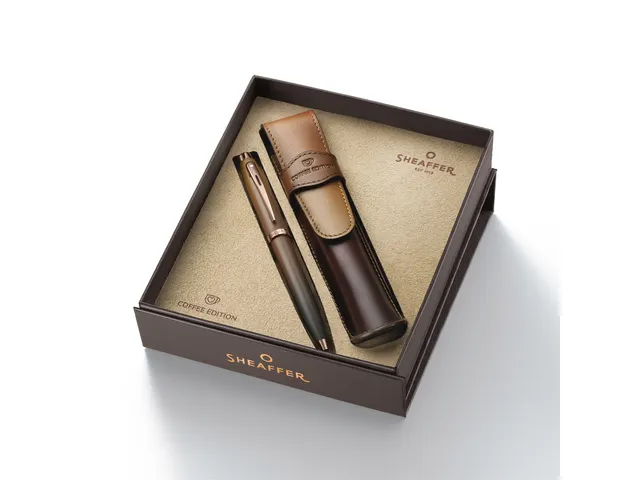 Coffret cadeau stylo à bille Sheaffer 100 G9374 Coffee ed.