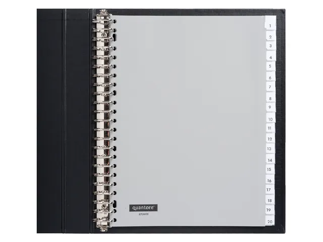 Tabbladen Quantore A4 23-Gaats 20-Delig Met Venster Grijs Pp