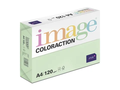 Kopieerpapier Forest Middelgroen A4 120 Gram 250 Vel