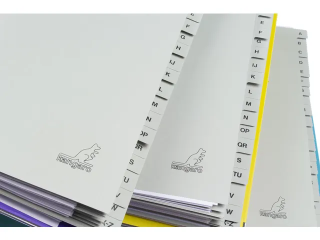 Tabblad ECO Kangaro A4 letters 180 grams grijs karton 4-gaats 20-delig