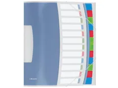 Esselte Sorteermap Vivida A4 12 vaks Assorti PP