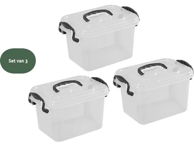 Boîte de rangement 11 litres SB11 3 pièces