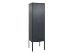 locker voor scheiding van kleding,HxBxD 2120x600x500mm,2vak