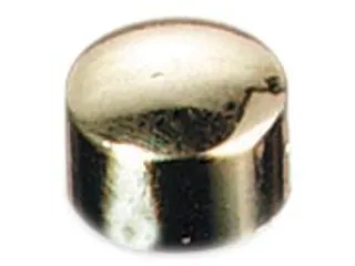 Magneten Prestige Goud 10mm - 1