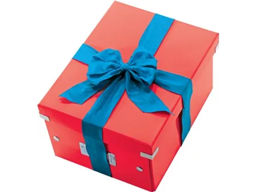 WOW opbergdoos Click & Store ft M rood