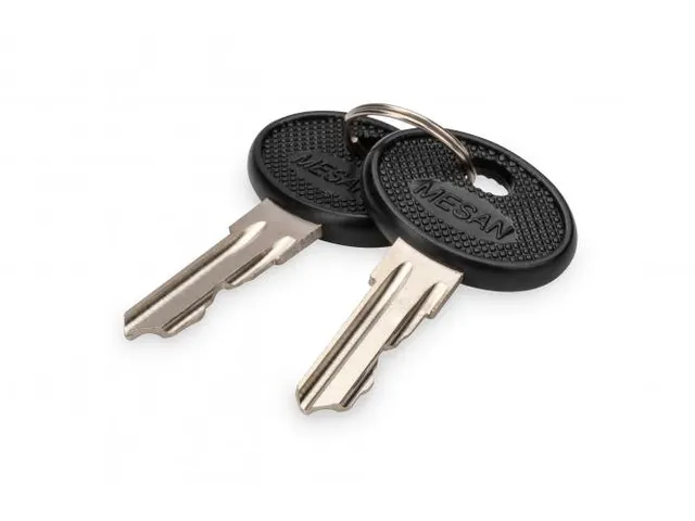 Sleutel voor WM SOHO PRO DN-DVR-1 2 stuks type 4444