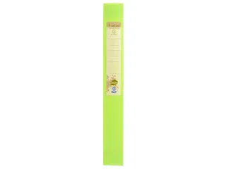 Klasseerdoos FOREVER PP rug 40mm anijs - 6
