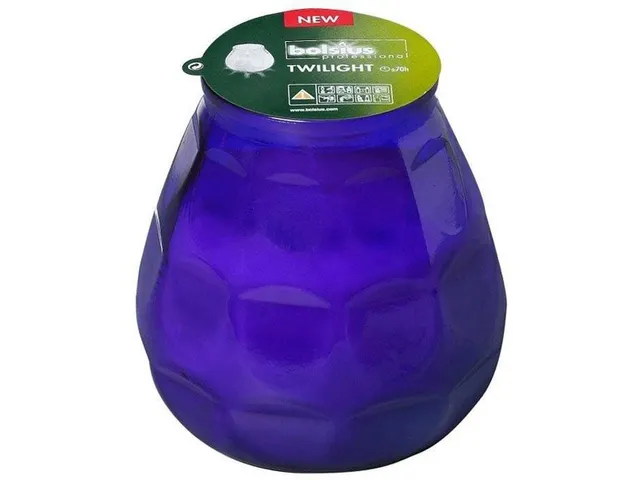 Bolsius Professional Twilight Paars Horeca kaars 12 stuks