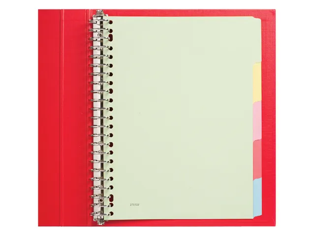 Tabbladen Budget A4 23-gaats 5-delig assorti karton