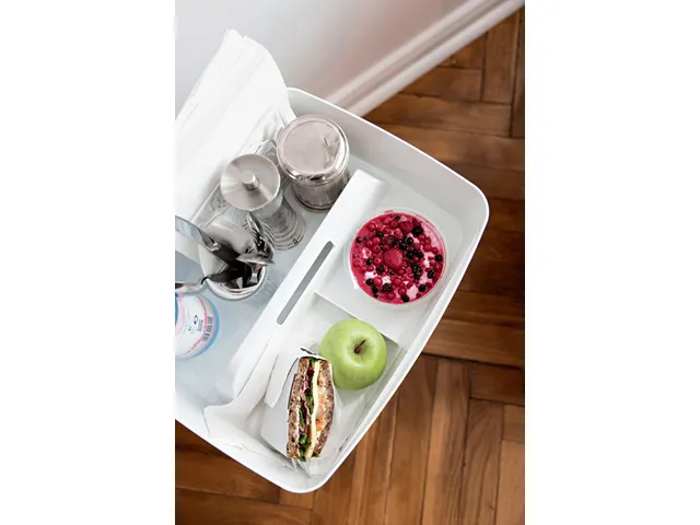 Leitz MyBox WOW Sorteertray met Handvat Wit Groot