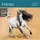 Kalender 2027 Helma 365 30x30cm paarden