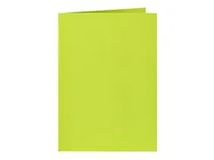 Correspondentiekaart Papicolor dubbel 105x148mm appelgroen pak à 6 st