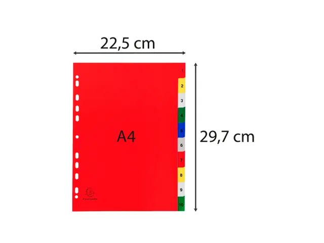 Tabbladen Polypropyleen 0.12mm 1-10 Bedrukt 10-Delig A4