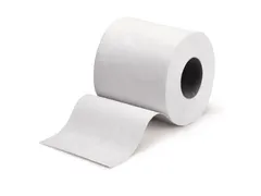 Toiletpapier 200 vel Eco Cellulose 2-laags Wit 22m pak 12x4rol