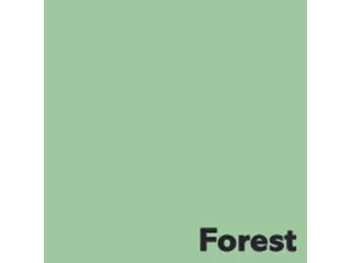 Offset papier Image Coloraction forest/middelgroen 120g 450x640mm FSC - 1
