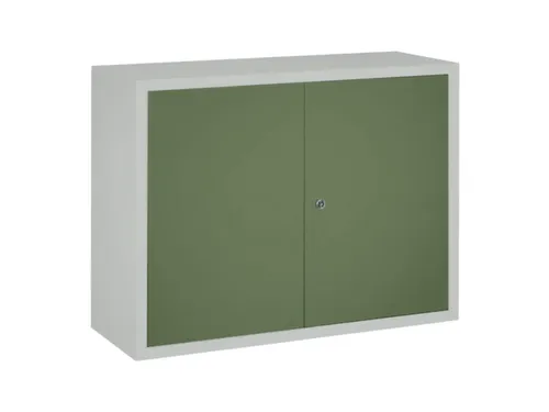 Hangkast 600x800x300mm 1 Verstelbaar Legbord Ral 7035 Front Ral 6011