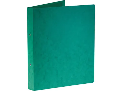 ringmap A4 uit glanskarton 2 ringen 25 mm groen
