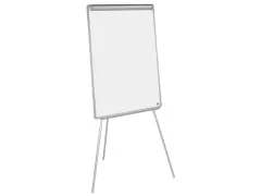 Bisilque Flipchart Euro Earth-it