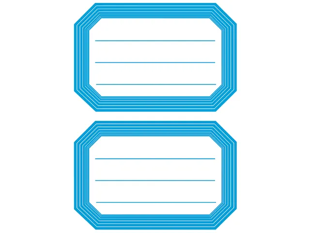 Boek Etiket Herma 5714 82x55mm Blauwe rand gelinieerd 12 stuks