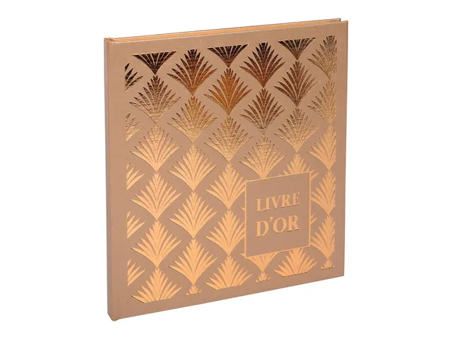 Livre d'or 140 pages tranche or - Format 21x19cm - PALMYRE - Visuels a