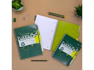 Projectboek Pukka Pad Recycled B5 lijn 4-tabs 200 pagina's 80gr groen - 8