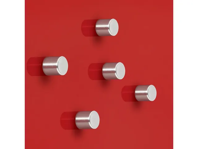 Magneten Sigel voor glasbord set 5stuks zilverkleurig 10x10x10mm