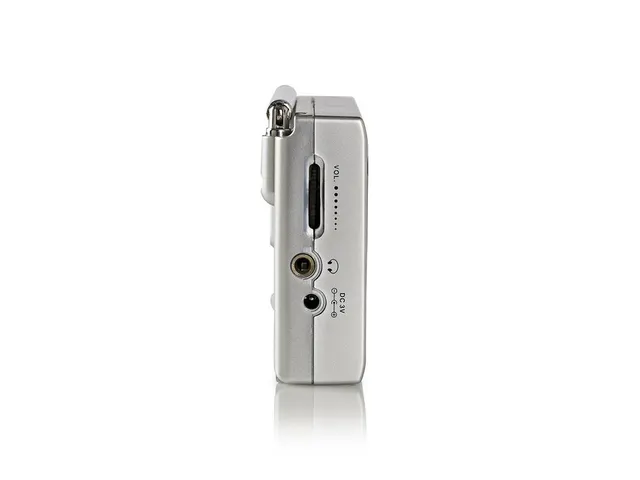 Wereldradio Nedis met wekker RDWR1000GY